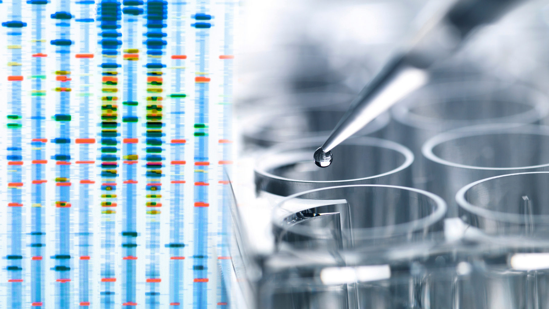 Could an MTHFR Variant Be Impacting Your Health? Understanding the Role of MTHFR in Methylation and Health