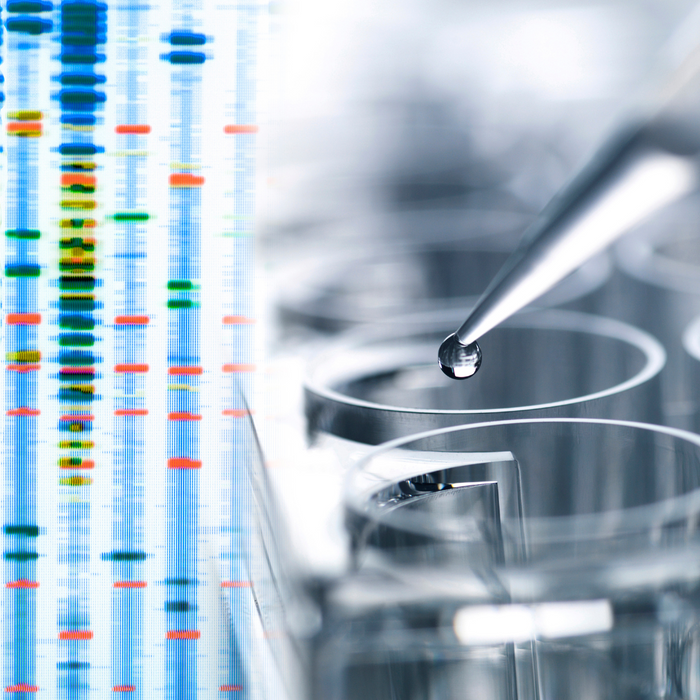 Could an MTHFR Variant Be Impacting Your Health? Understanding the Role of MTHFR in Methylation and Health