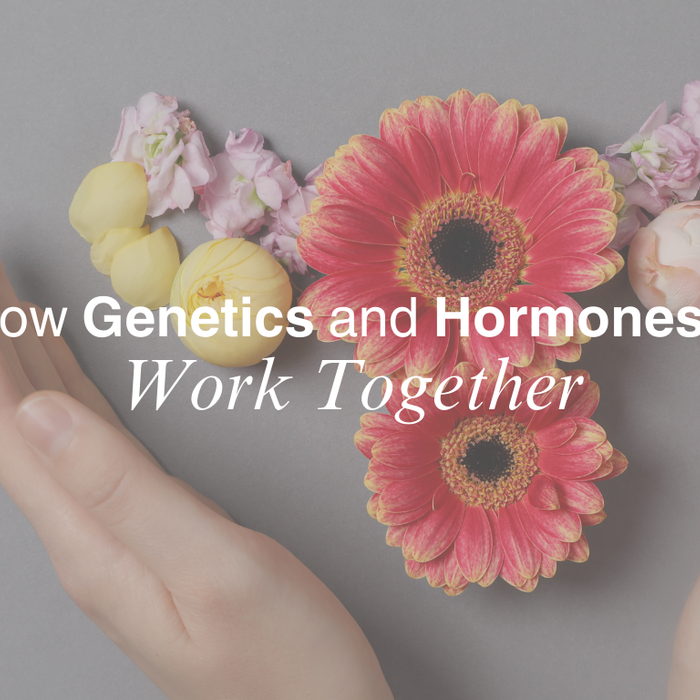How Genetics and Hormones Work Together