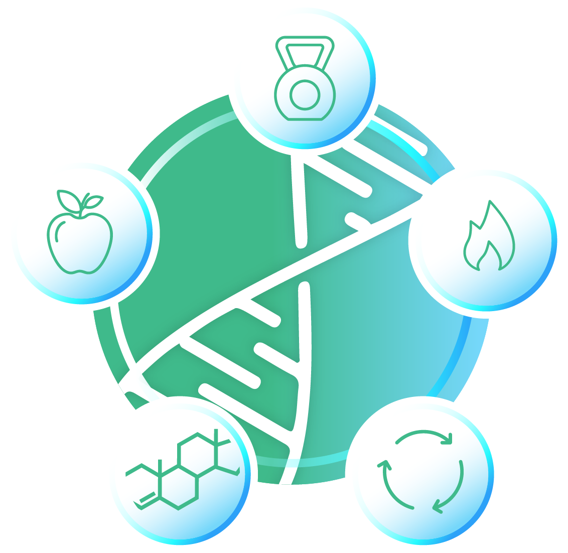 The Works - Genetic Methylation & MTHFR Test